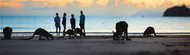 Family at Cape Hillsborough